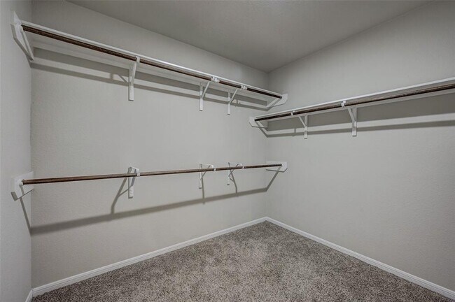 Building Photo - 3006 Dripping Springs Ct