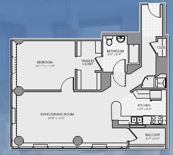 1BR/1BA - SKY55