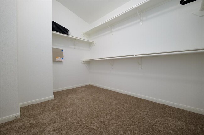Building Photo - 1203 Lavender Shade Ct