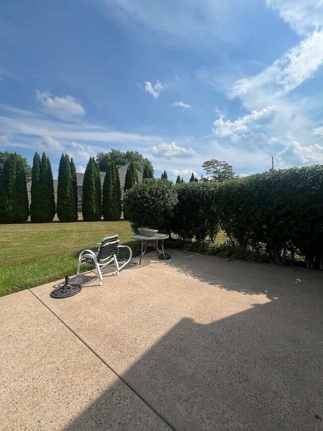 Rear Patio - 70 Tartan Rd