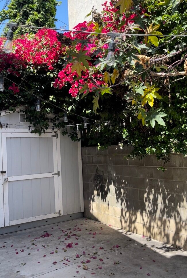 Building Photo - 228 Avenida Santa Barbara