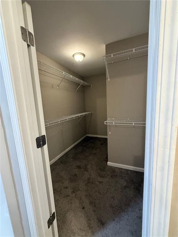 Building Photo - 3369 Hidden Stream Ct