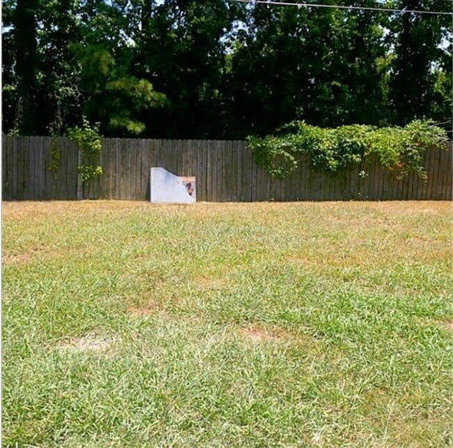 Building Photo - 711 Magnolia Dr