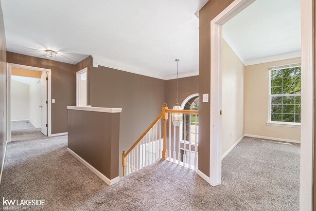 Building Photo - 34681 Giannetti Dr