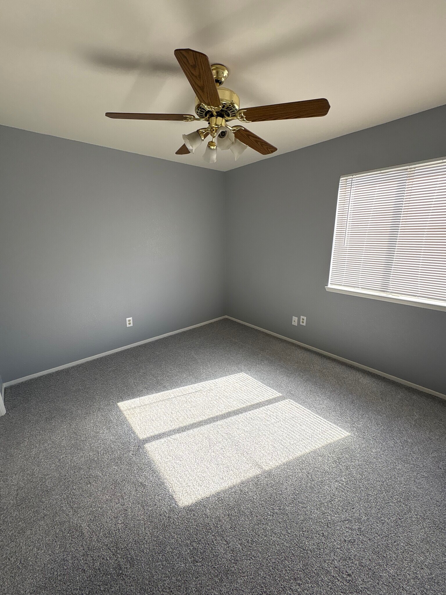 Building Photo - 3800 Collier St