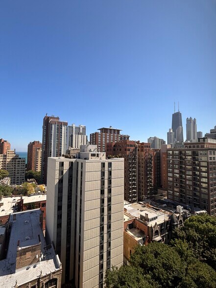 Building Photo - 1300 N Dearborn St