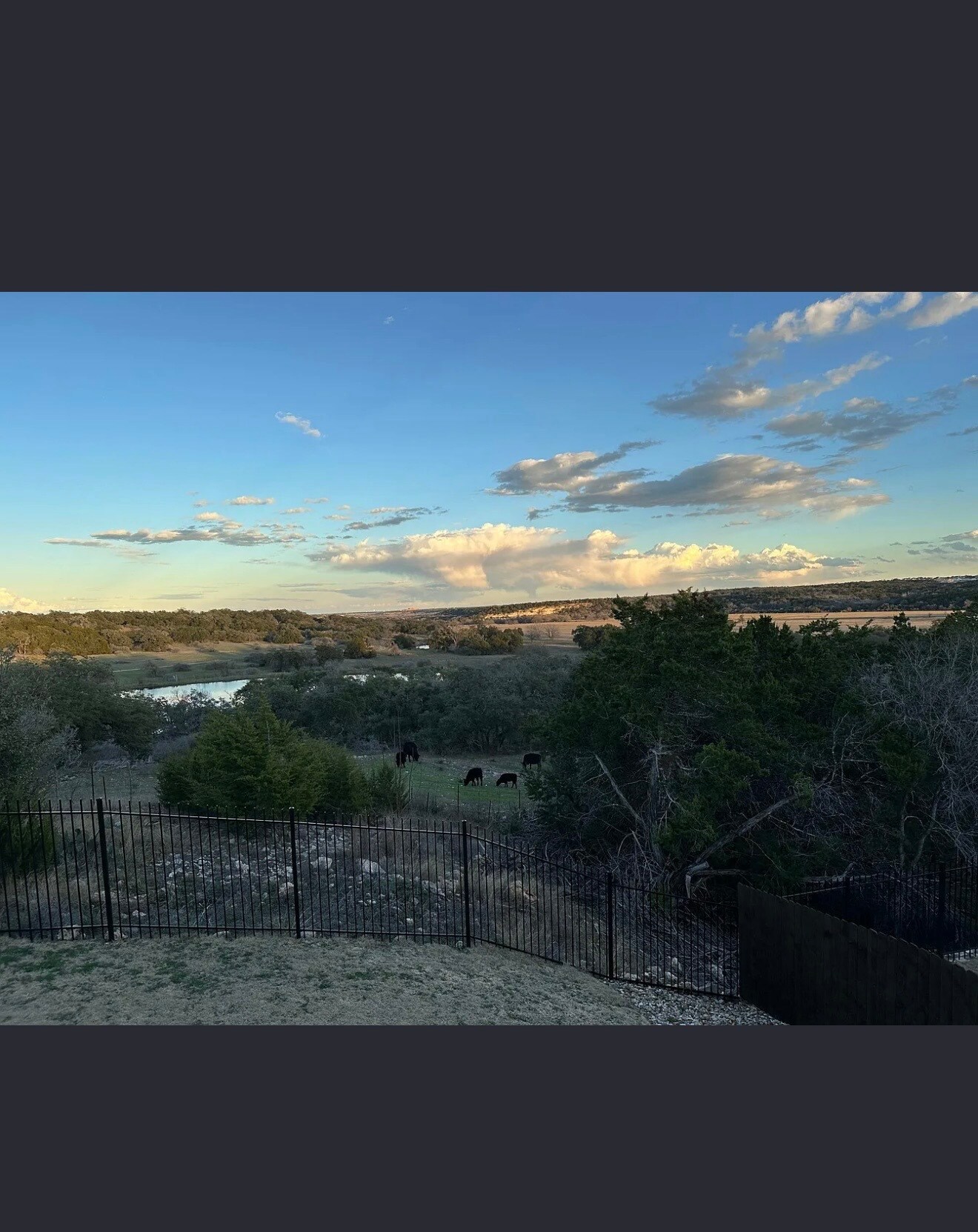 Building Photo - 1920 Centerline Ln