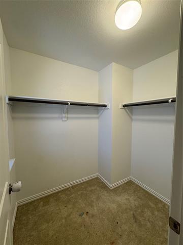 Building Photo - 231 Hadley Ln