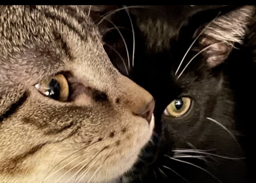 Building Photo - 2879 S Filmore St