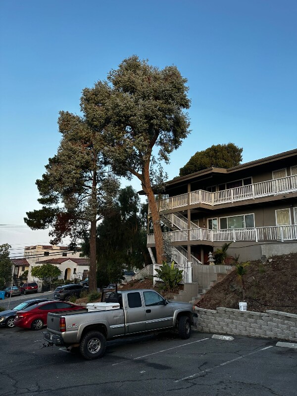 Building Photo - 611 Virginia St