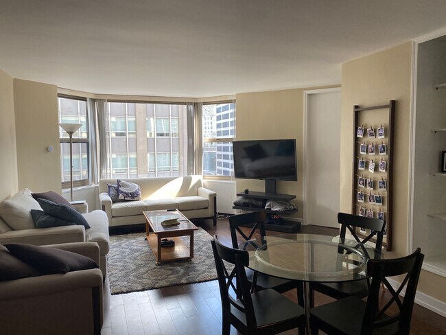 Living Room - 535 N Michigan Ave