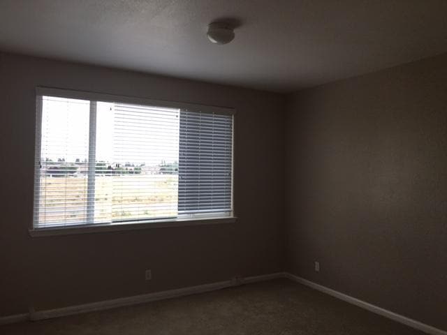 Building Photo - 738 Chandon Dr