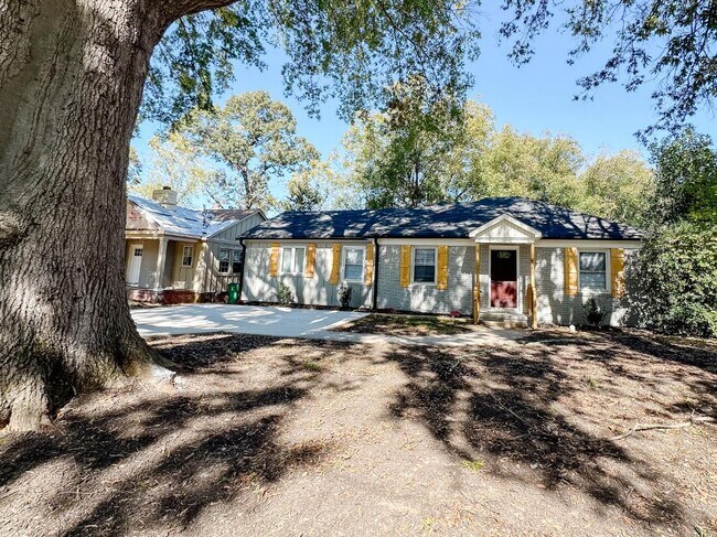 Peaceful wooded front yard - 2429 Remount Rd