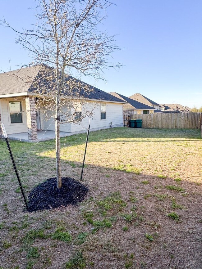 Building Photo - 6233 Lavaca Dr