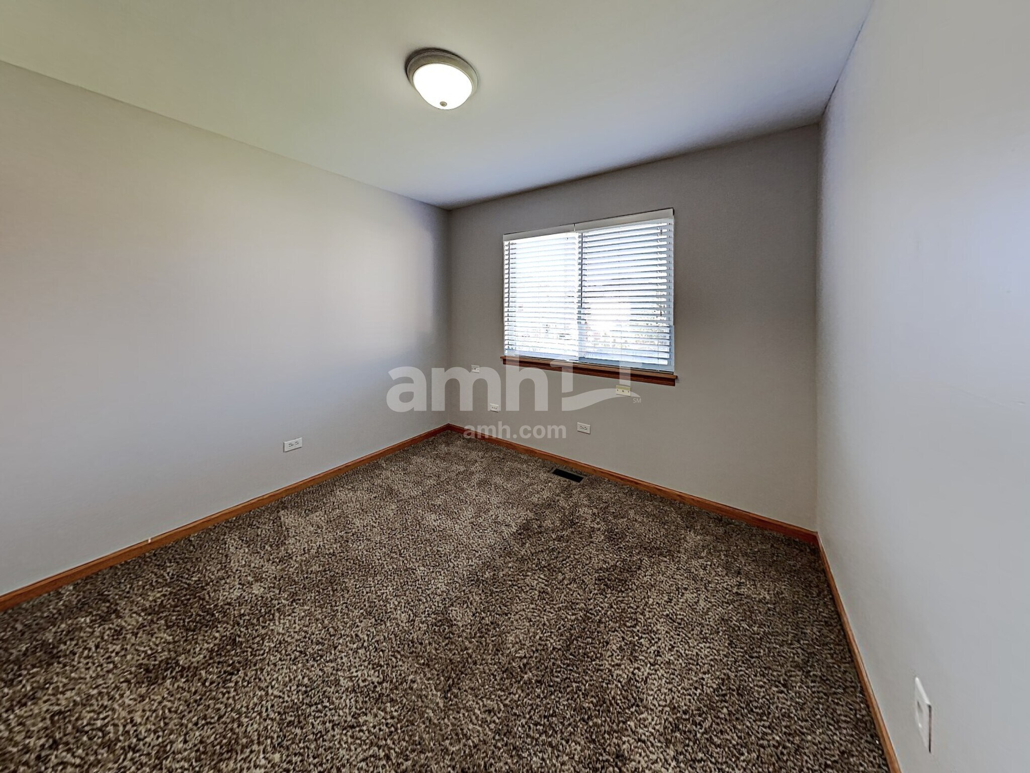 Building Photo - 2438 Foxtail Ct
