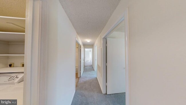 Building Photo - 2806 Clear Shot Dr