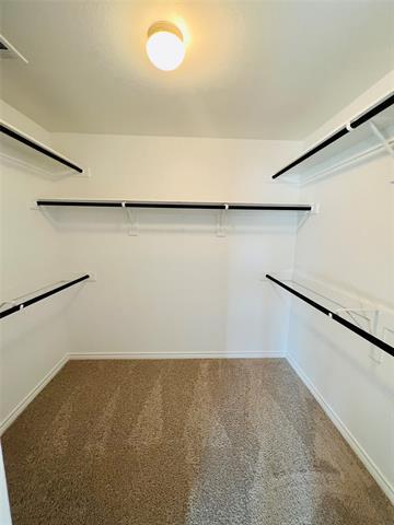 Building Photo - 8308 White Pine Dr