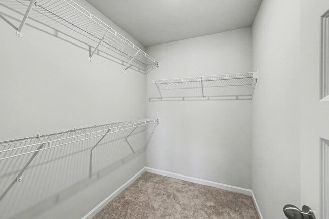 Building Photo - 219 Cypress Preserve Blvd