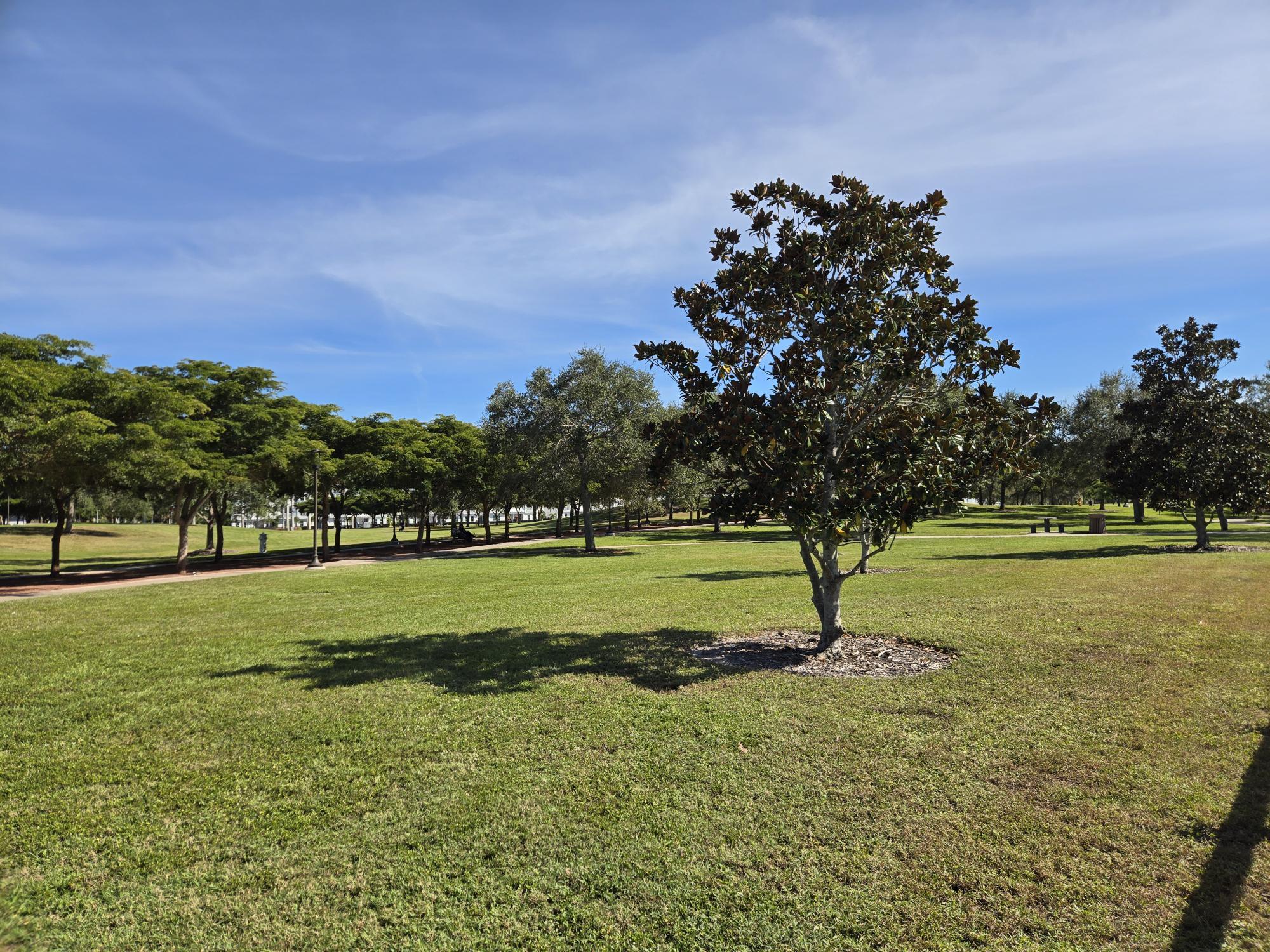 Building Photo - 2304 Ringling Blvd