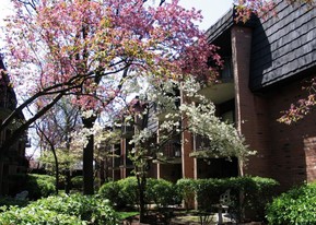 Building Photo - York Terrace East