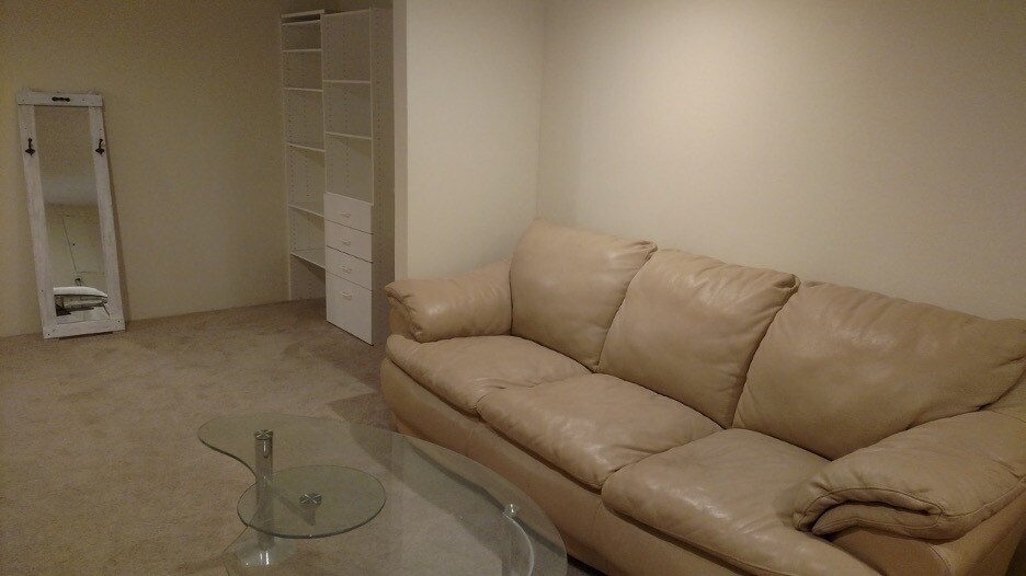 Living Room area - 5244 41st Ave S