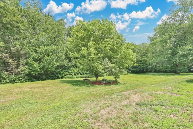 Building Photo - One bedroom apartment for rent in Andover Connecticut!