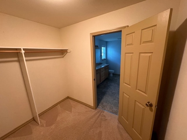 Building Photo - 415 Louis Ln