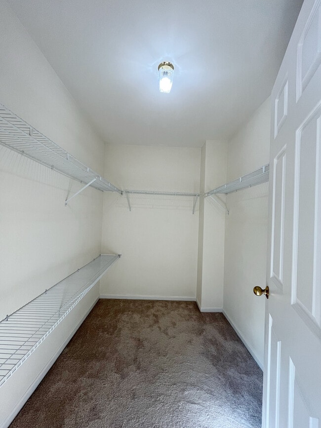 Building Photo - 312 Spring Creek Cir