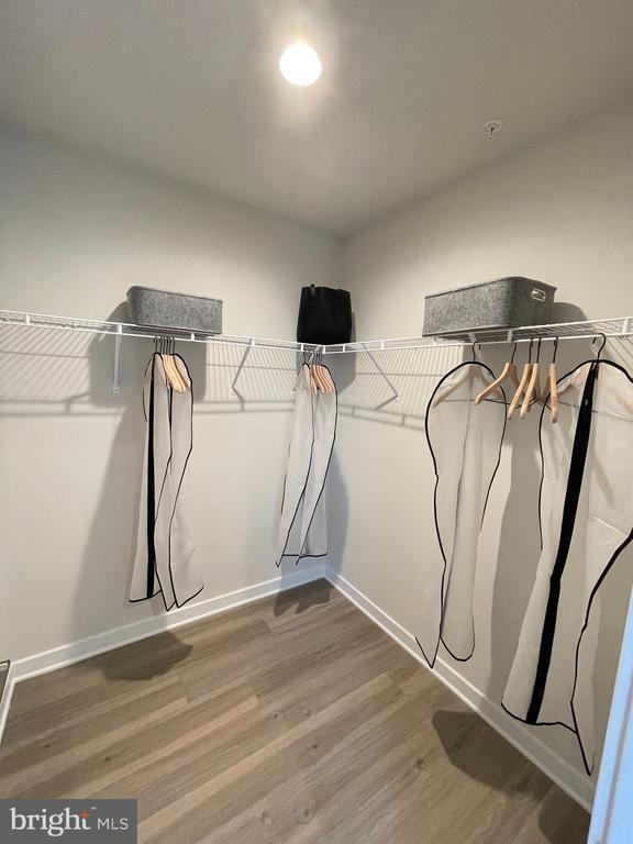 Building Photo - 3125 Beachview Ln