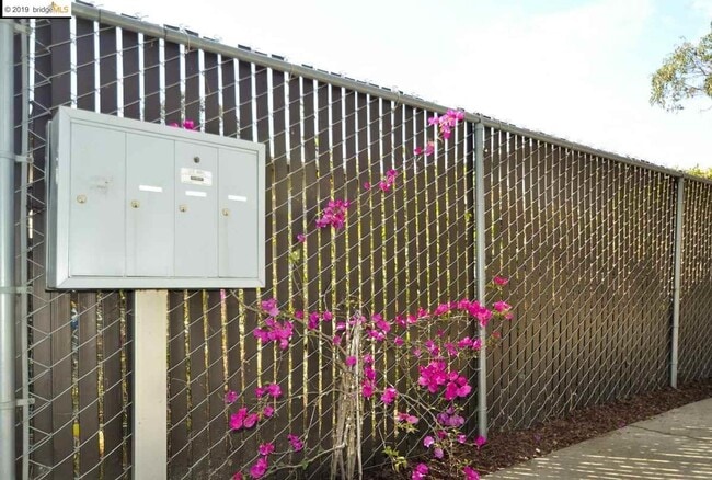 Building Photo - Secluded Rockridge 2BD | Parking Included | Near BART, Shops & Dining