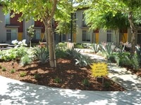 Courtyard - H Street Lofts