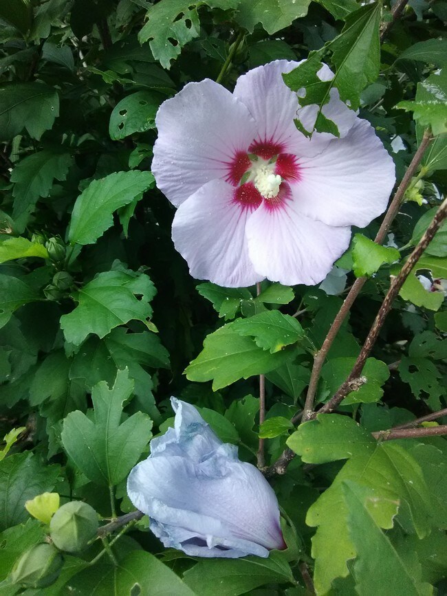 Building Photo - 408 Huntington Rd