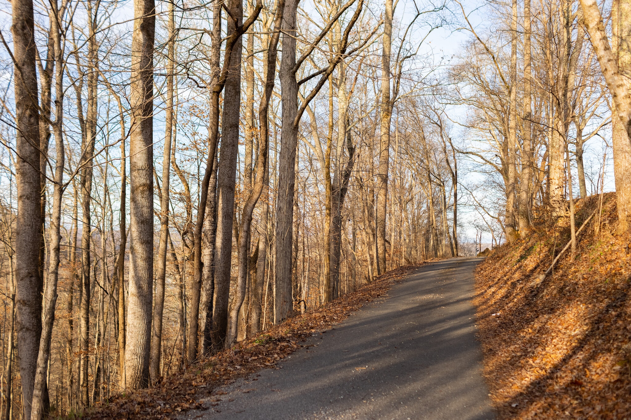 Building Photo - 210 Gail Dr