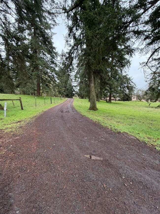 Building Photo - 3 Bedroom with a View!