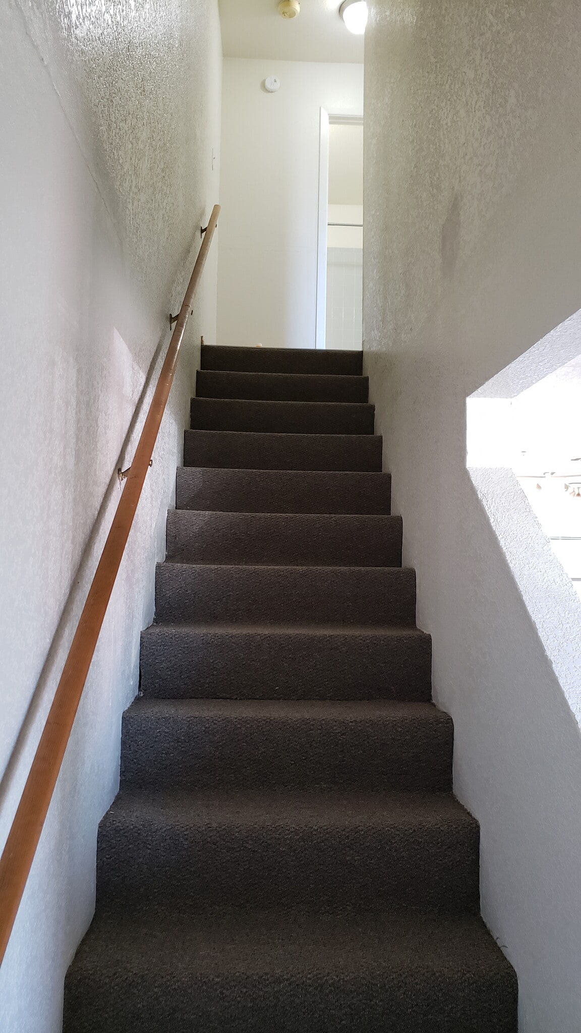 Building Photo - 1106 Shanarae Cir