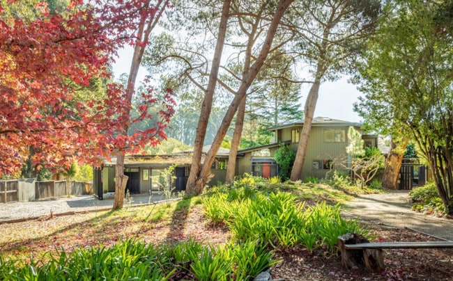 Primary Photo - Upper Westside / Close to UCSC