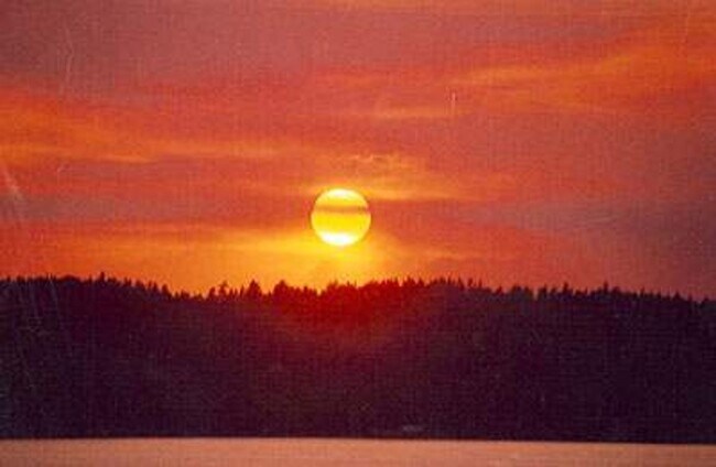 Building Photo - Waterfront Cottage in Gig Harbor