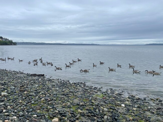 Building Photo - 22985 Marine View Dr S