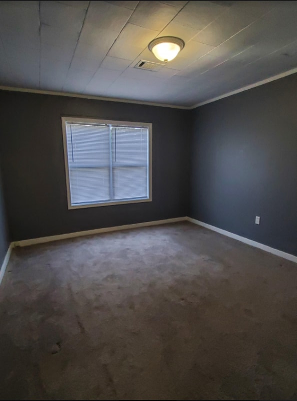 Building Photo - 809 Hester St