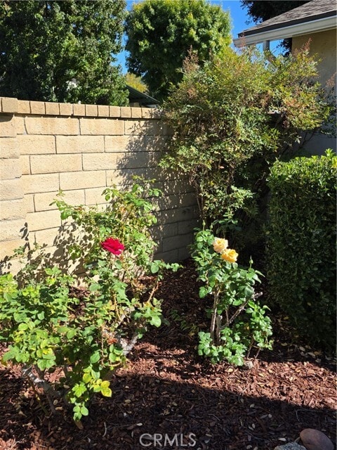 Building Photo - 23401 Vía Elisandra