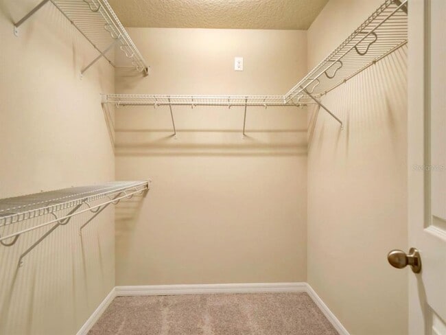 Building Photo - 2566 Amati Dr