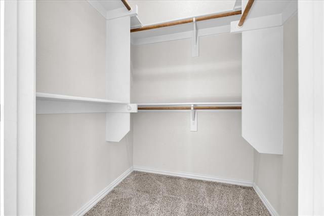 Building Photo - 1523 Cozy Dr