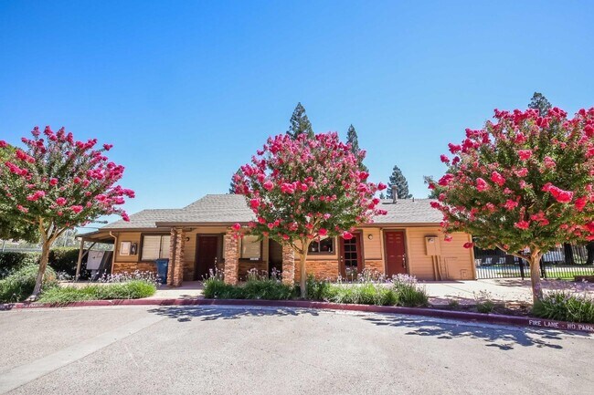 Building Photo - 3715 Tallyho Dr