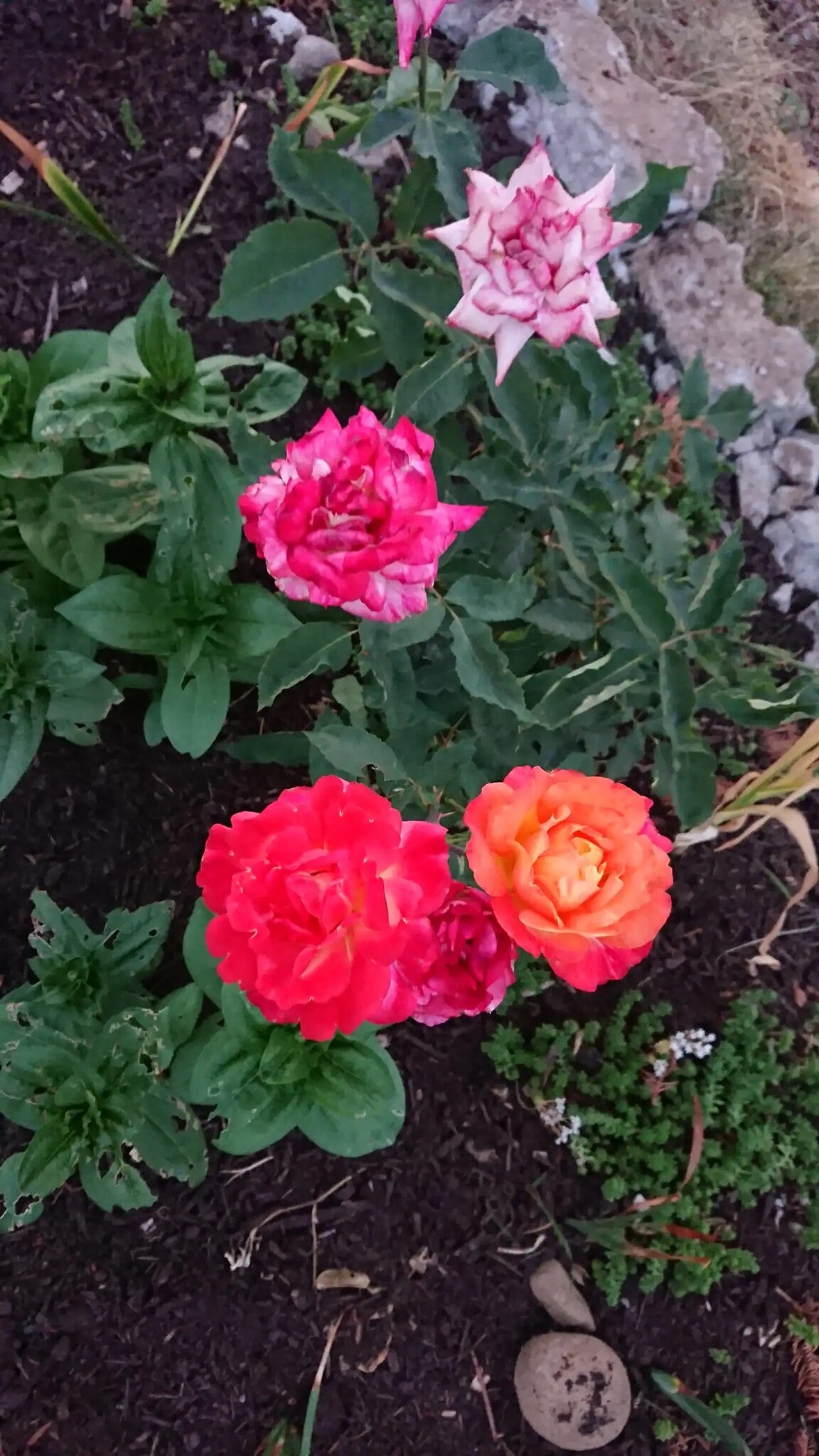 Building Photo - 8311 NE Sacramento St