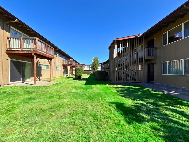 Primary Photo - (WLO) Remodeled 2 Bed/1 Bath close to campus