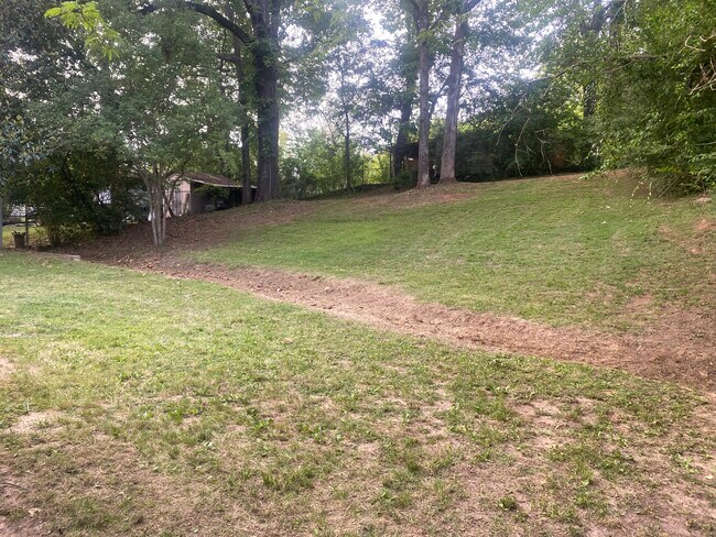 Backyard - 5628 Clearview Hills Dr