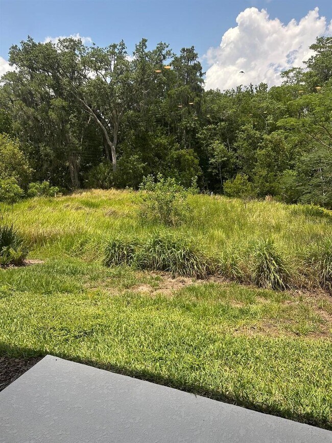 Building Photo - 4669 Sparkling Shell Ave