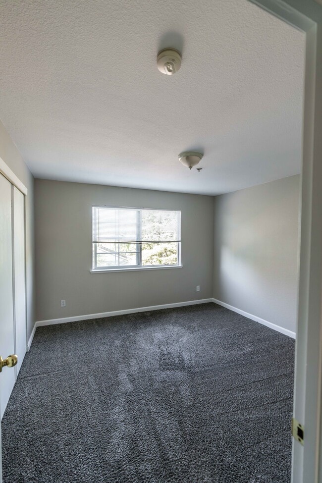 Master Bedroom - 3739 Black Eagle Dr