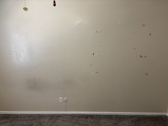Building Photo - 2 bed/1.5 bath unit close to Hallmark Park and Hulen Mall