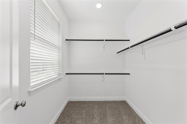 Building Photo - 3208 Lucia Wy
